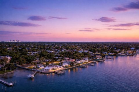 Casa en venta en Saint Petersburg, Florida, 4 dormitorios, 340.95 m2 № 2198721 - foto 2