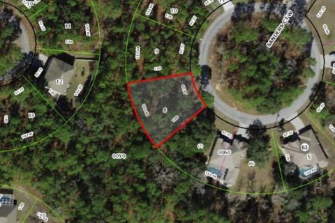 Casa en venta en Homosassa, Florida, 4 dormitorios, 187.57 m2 № 1541344 - foto 2