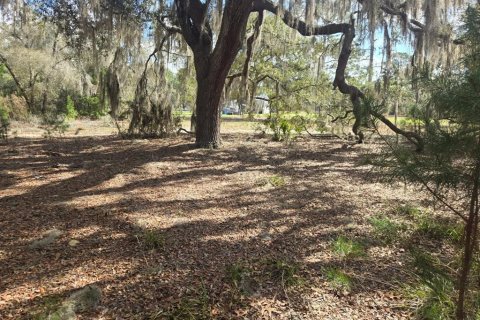 Land in Interlachen, Florida № 2160433 - photo 6