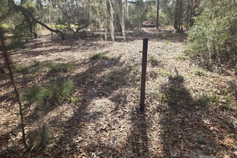 Land in Interlachen, Florida № 2160433 - photo 7