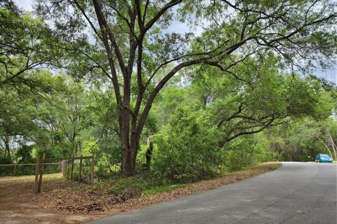 Land in Ocala, Florida № 2220587 - photo 5