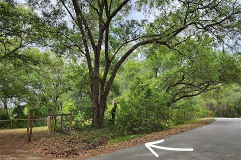 Land in Ocala, Florida № 2220587 - photo 2