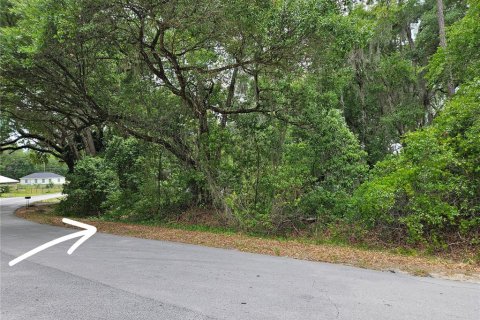 Land in Ocala, Florida № 2220587 - photo 3