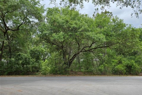 Land in Ocala, Florida № 2220587 - photo 4