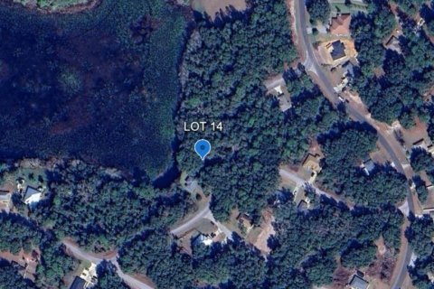 Land in Ocala, Florida № 2220587 - photo 7