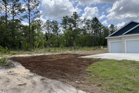 House in Ocala, Florida 4 bedrooms, 229.65 sq.m. № 2166271 - photo 3