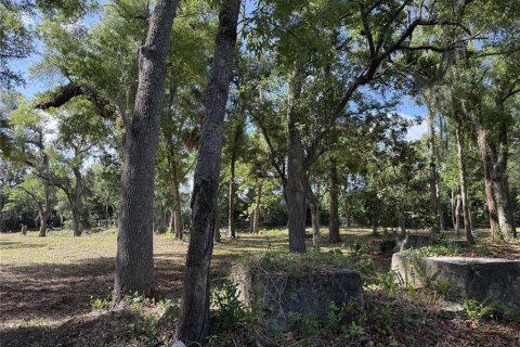 Land in Brandon, Florida № 2123333 - photo 11