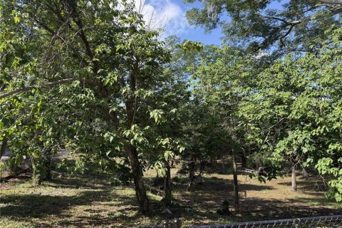 Land in Brandon, Florida № 2123333 - photo 3