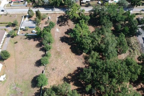 Land in Brandon, Florida № 2123333 - photo 12