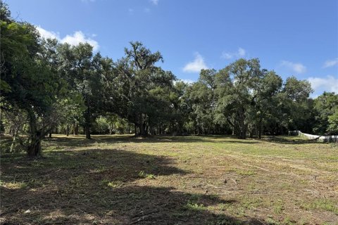 Land in Brandon, Florida № 2123333 - photo 10