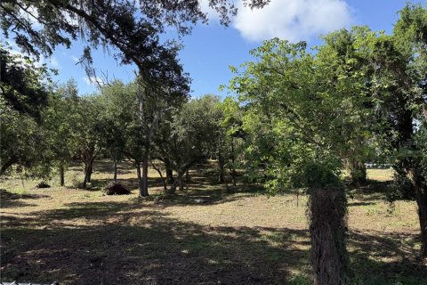 Land in Brandon, Florida № 2123333 - photo 5