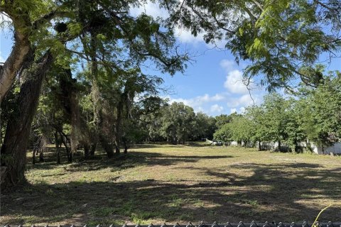 Land in Brandon, Florida № 2123333 - photo 6