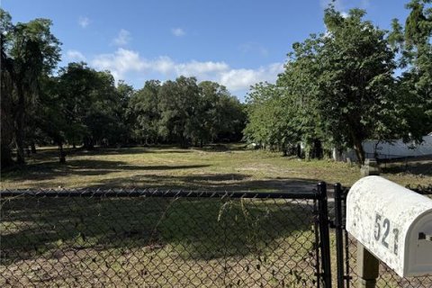Land in Brandon, Florida № 2123333 - photo 8
