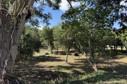 Land in Brandon, Florida № 2123333 - photo 4