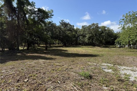 Land in Brandon, Florida № 2123333 - photo 9