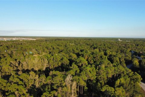 Land in Punta Gorda, Florida № 2235171 - photo 11
