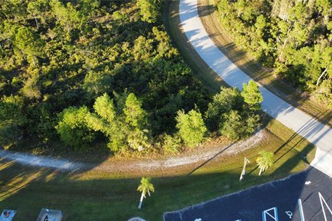 Land in Punta Gorda, Florida № 2235171 - photo 6