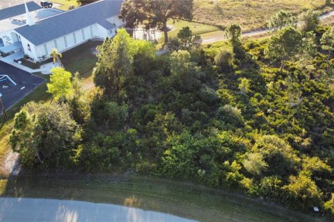 Land in Punta Gorda, Florida № 2235171 - photo 5