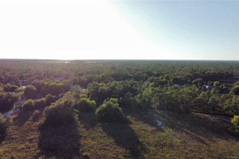 Land in Punta Gorda, Florida № 2235171 - photo 10
