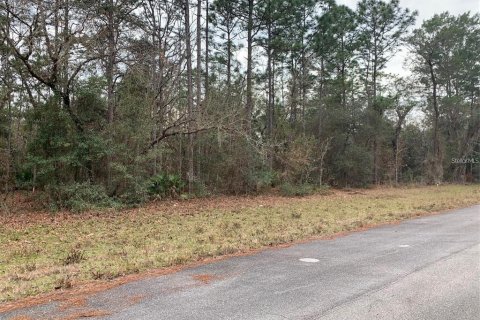 Terreno en Ocala, Florida № 2231231