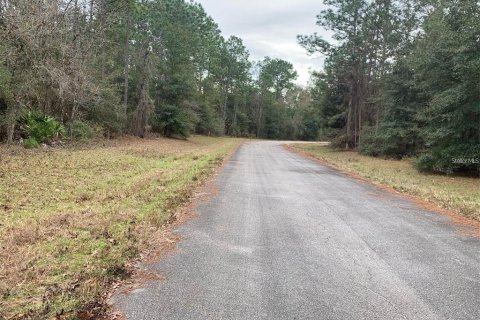 Terrain à vendre à Ocala, Floride № 2231231 - photo 4