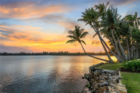 Casa en venta en Jupiter Island, Florida, 7 dormitorios, 739.32 m2 № 1989306 - foto 11