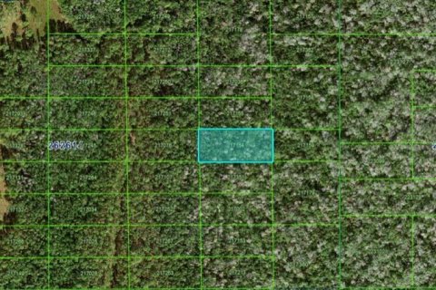 Terreno en Polk City, Florida № 2160735