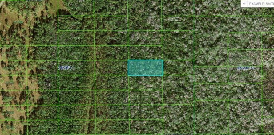 Terreno en Polk City, Florida № 2160735