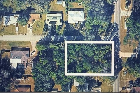 Land in Inverness, Florida № 2162310 - photo 2