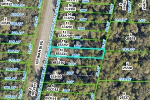 Land in Webster, Florida № 2163508 - photo 3
