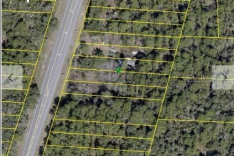 Land in Webster, Florida № 2163508 - photo 4