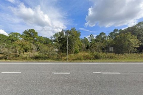 Land in Webster, Florida № 2163508 - photo 2