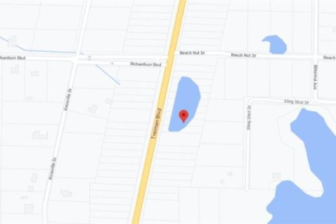 Land in Webster, Florida № 2163508 - photo 7