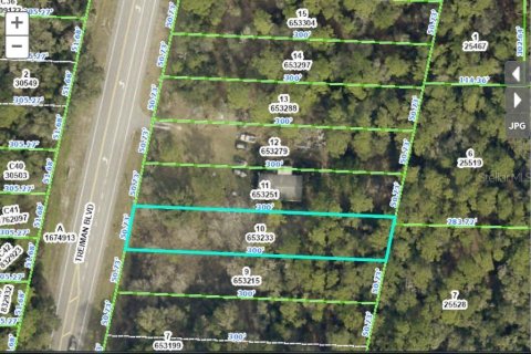 Land in Webster, Florida № 2163508
