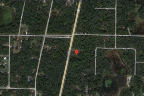 Land in Webster, Florida № 2163508 - photo 6