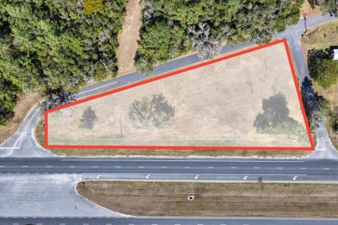 Land in Williston, Florida № 2235300 - photo 5