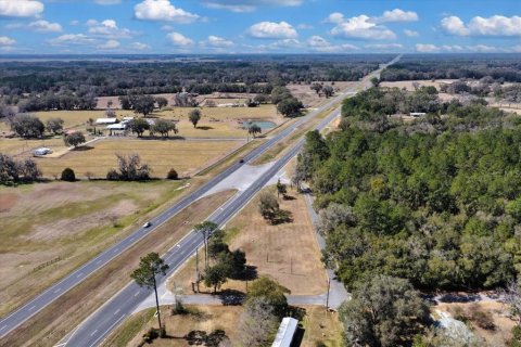 Land in Williston, Florida № 2235300 - photo 12