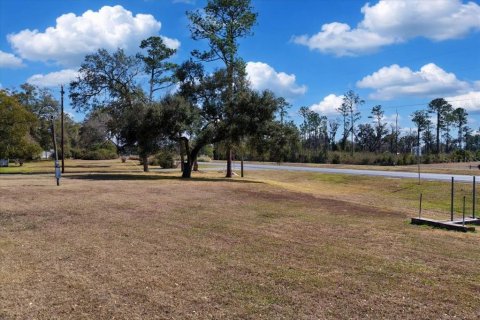 Land in Williston, Florida № 2235300 - photo 27