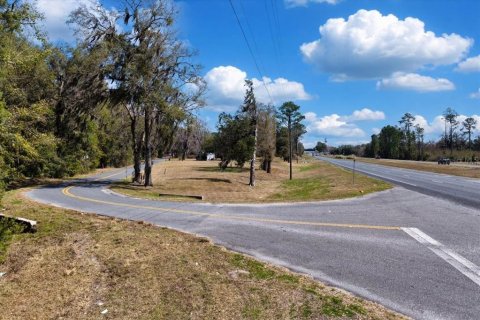 Land in Williston, Florida № 2235300 - photo 22