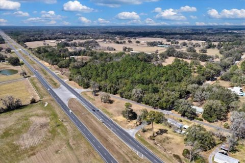 Land in Williston, Florida № 2235300 - photo 15