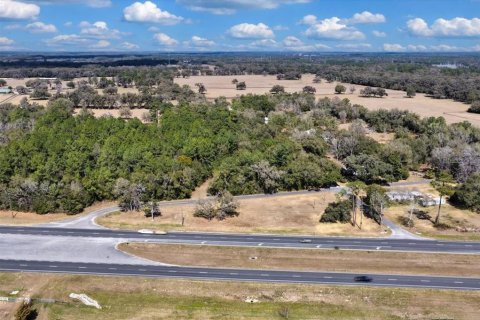 Land in Williston, Florida № 2235300 - photo 18