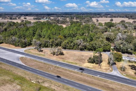 Land in Williston, Florida № 2235300 - photo 16
