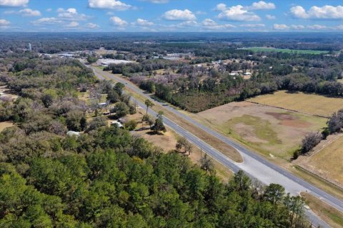 Land in Williston, Florida № 2235300 - photo 8