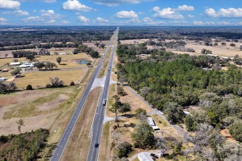 Land in Williston, Florida № 2235300 - photo 14