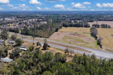 Land in Williston, Florida № 2235300 - photo 9