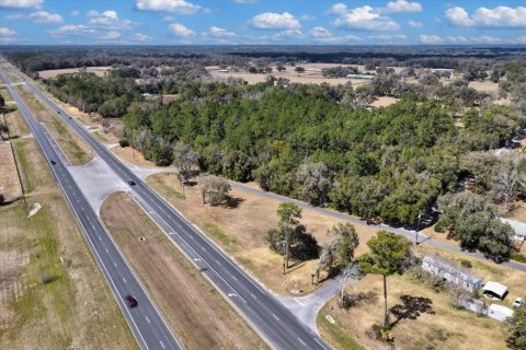 Land in Williston, Florida № 2235300 - photo 6