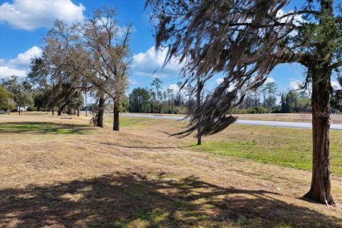 Land in Williston, Florida № 2235300 - photo 25