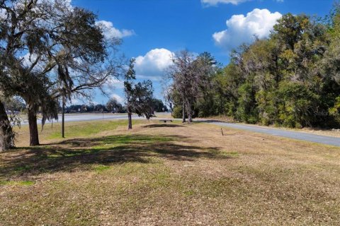 Land in Williston, Florida № 2235300 - photo 28