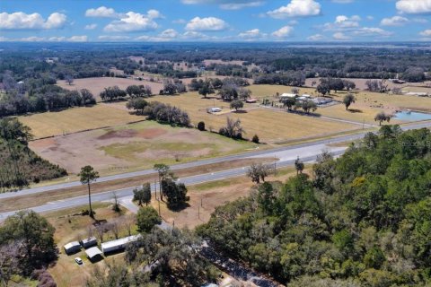 Land in Williston, Florida № 2235300 - photo 10