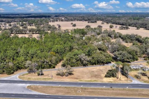 Land in Williston, Florida № 2235300 - photo 19